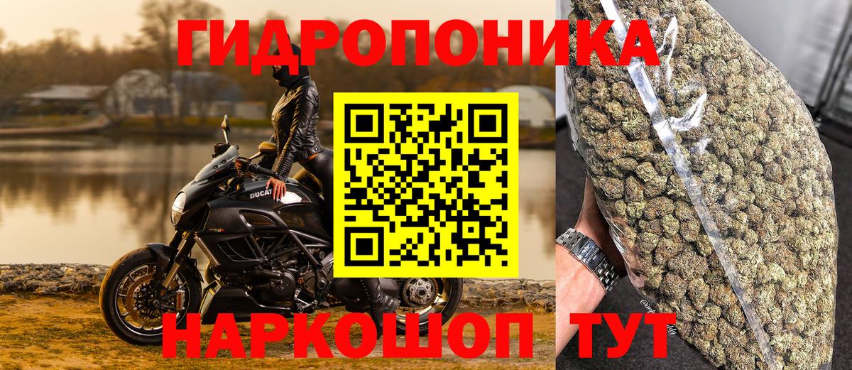 Конопля семена  Каннабис Bruce Banner  Сосновоборск  Вход с VPN 